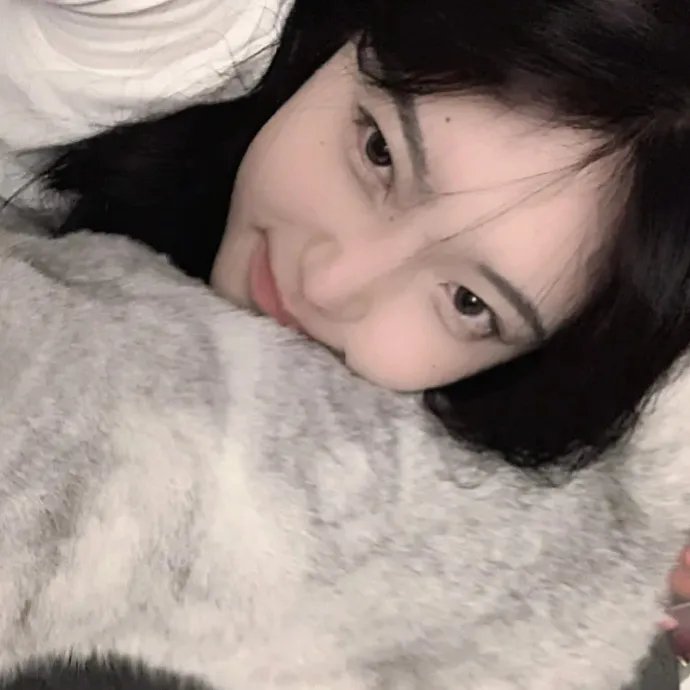 红尾鸽