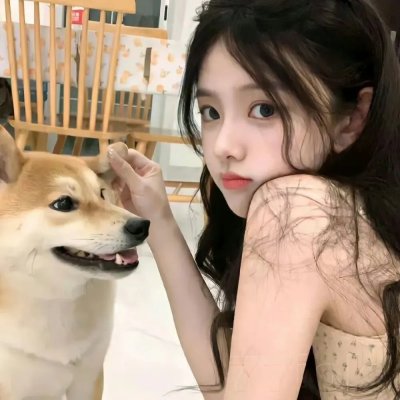 工程师普赖特的方案